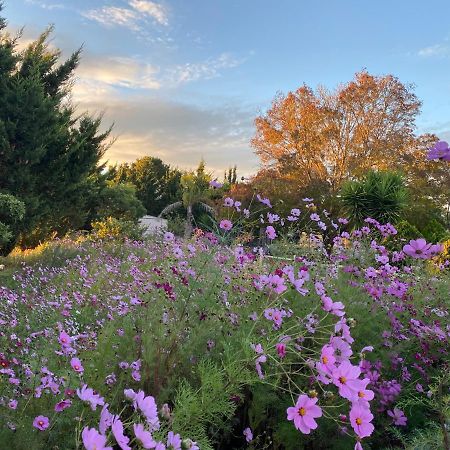 Melbourne Garden Bed And Breakfast Melton المظهر الخارجي الصورة