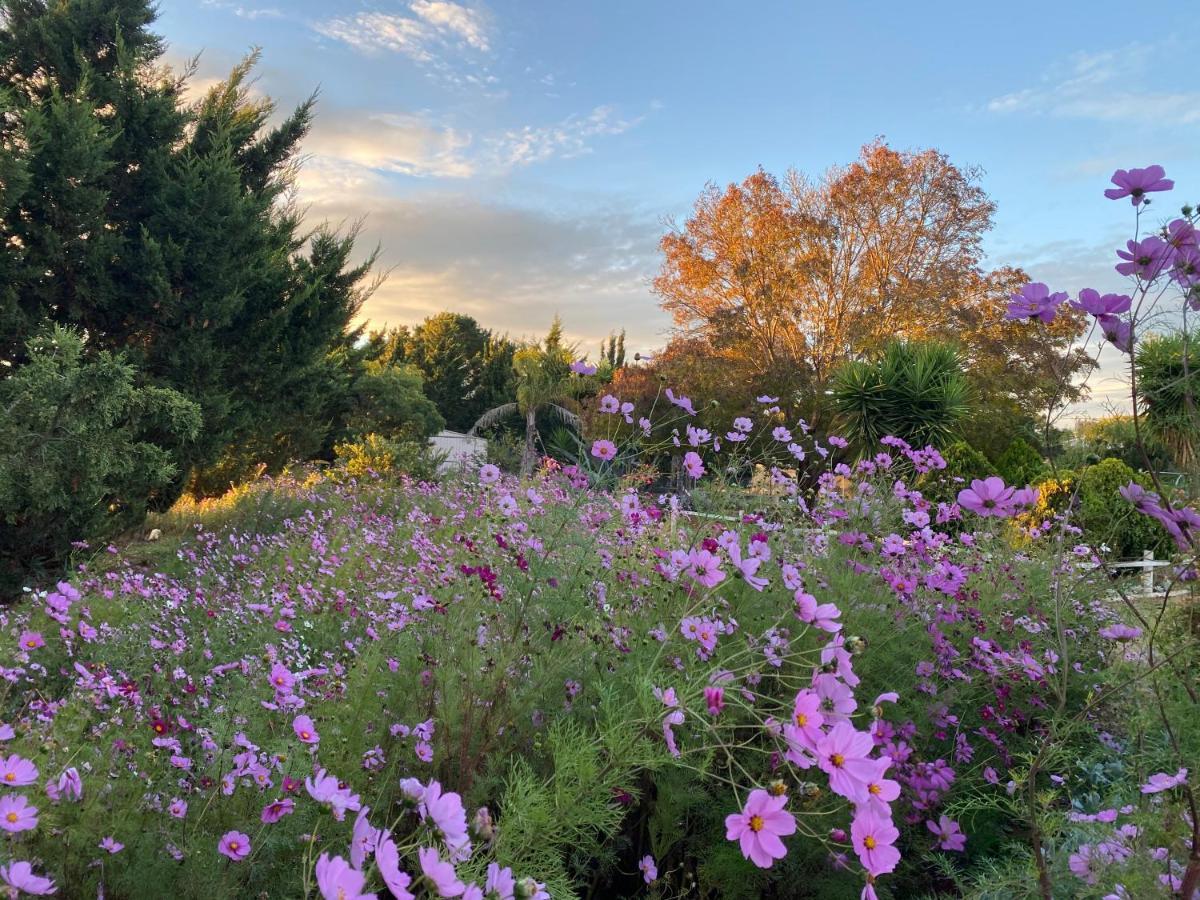 Melbourne Garden Bed And Breakfast Melton المظهر الخارجي الصورة